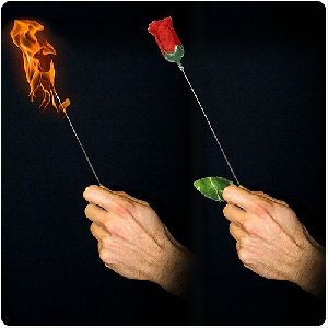 De antorcha a rosa - plus (torch to rose plus)