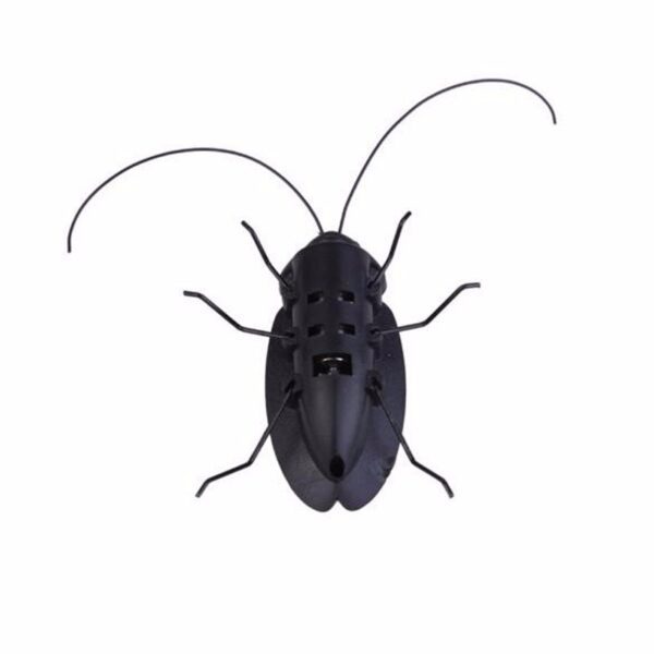Cucaracha solar (solar cockroach) - Imagen 2
